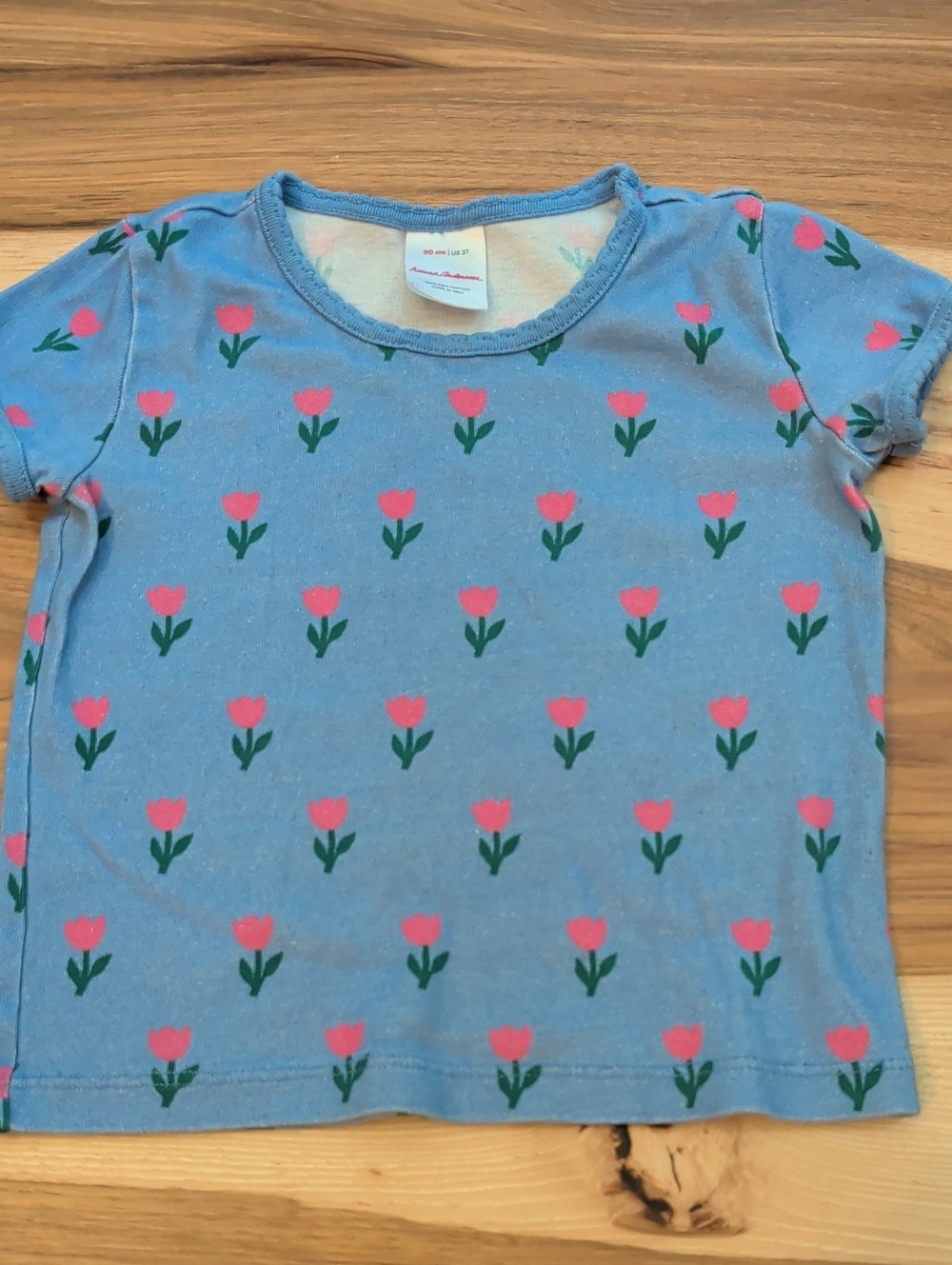 Hanna Andersson Blue Tee with Pink Tulip Print